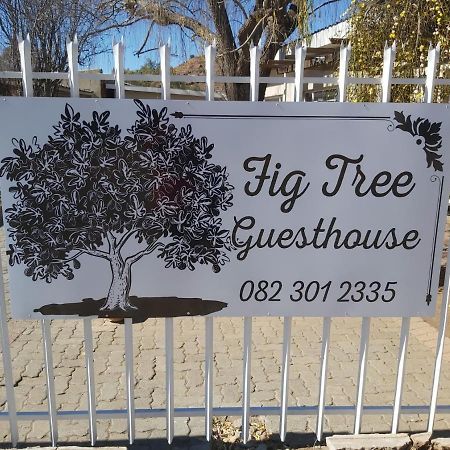 Fig Tree Hotel Colesberg Exterior photo